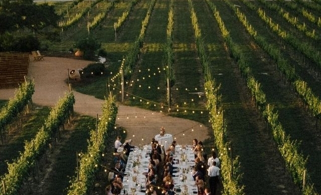 vinoyard weddings