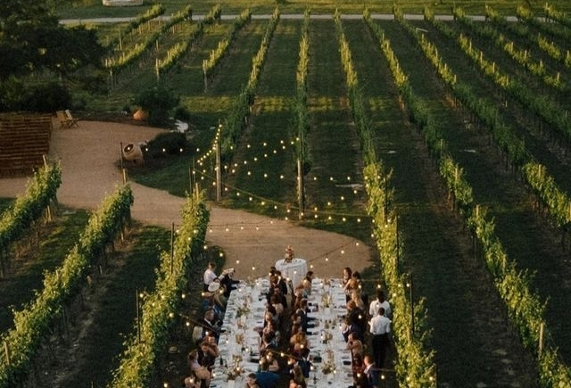Bodas en viñedos: exclusividad y encanto para tu gran día