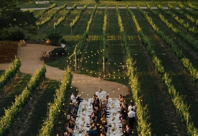 Vineyard Weddings: Exclusivity and Charm for Your Big Day